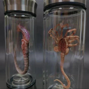 Réplica Alien Xenomorfo em Célula de Vidro