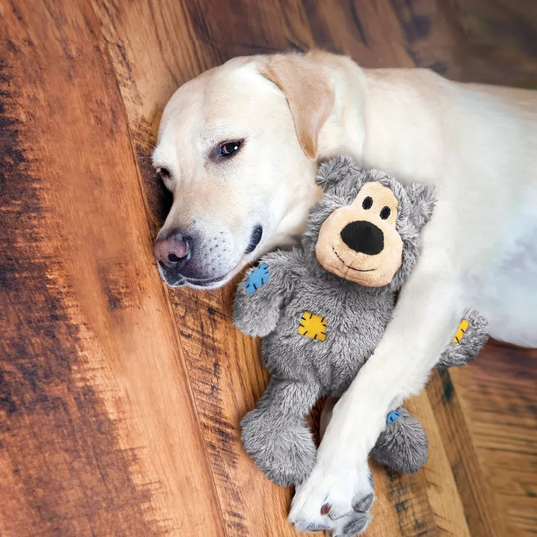 Urso Wild Knots | Para Cachorro