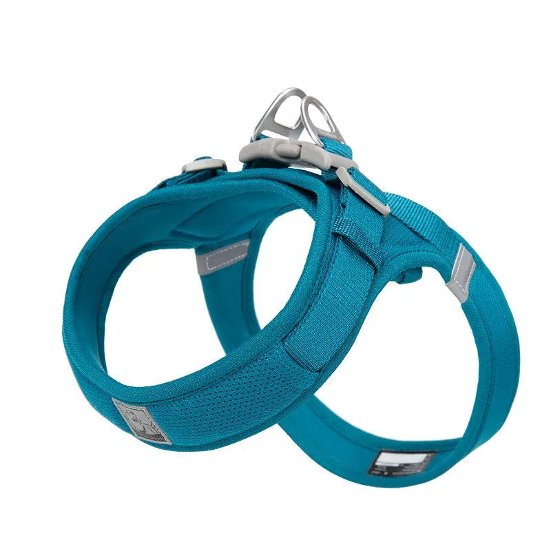 Peitoral para Cachorro com tecnologia Power Webbing®  | Truelove® Power Basic
