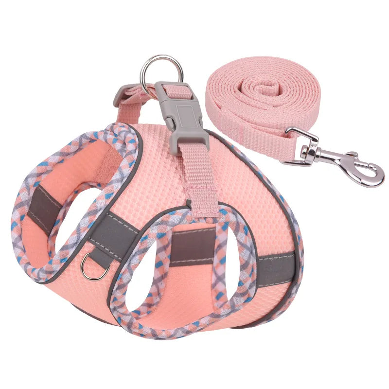 Peitoral Com Guia Outdoor™ | Para Cachorro