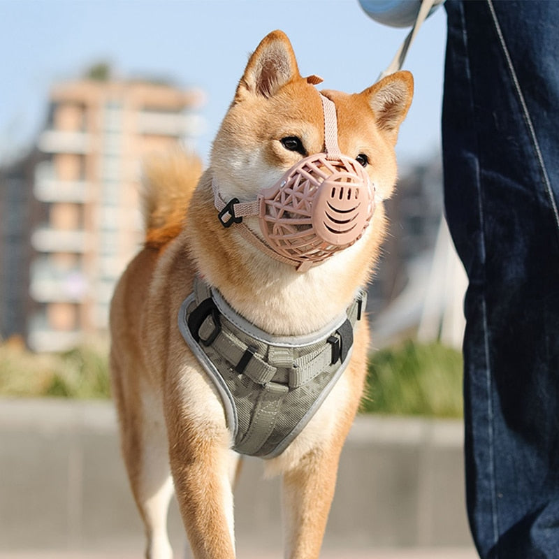 Focinheira para Cachorro Ajustável | Kimpets™