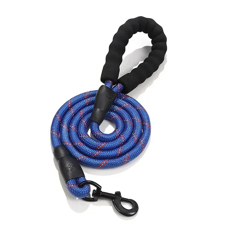 Guia NightSafe™ | Para Cachorro