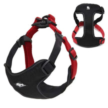 Peitoral Truelove® Adjust | Para Cachorro