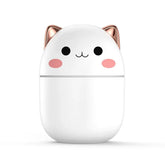 Umidificador de Ar de Gatinho | Para Tutores