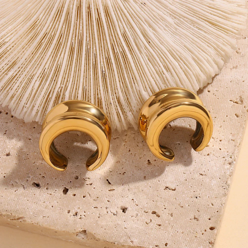 Brincos de Ouro 18K com Design Elegante