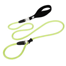Guia Truelove® Training | Para Cachorro