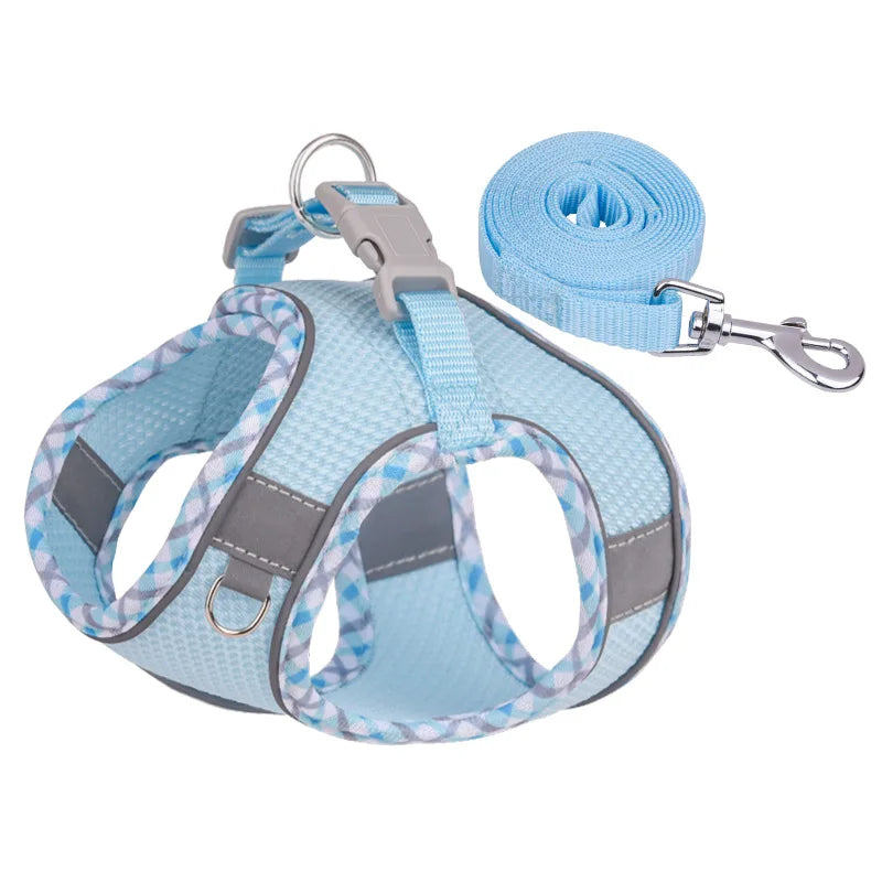 Peitoral Com Guia Outdoor™ | Para Cachorro