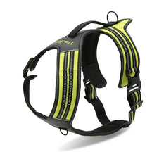 Peitoral Truelove® Sport | Para Cachorro