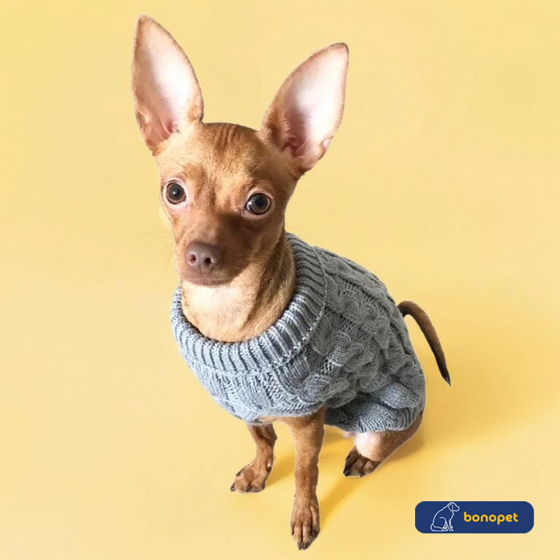 Suéter KeepWarm™ | Para Cachorro e Gato