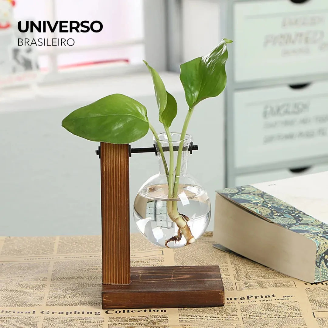Vaso Hidropônico com Moldura de Madeira - Minz
