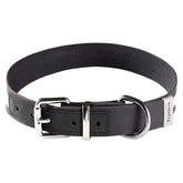 Coleira Truelove® Waterproof | Para Cachorro