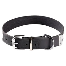 Coleira Truelove® Waterproof | Para Cachorro
