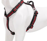 Peitoral Truelove® Collection | Para Cachorro