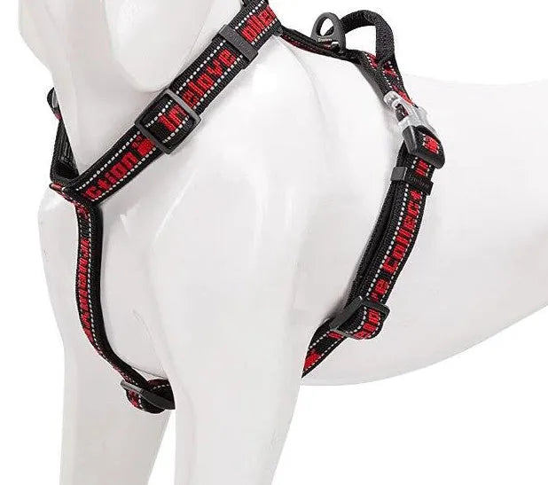 Peitoral Truelove® Collection | Para Cachorro