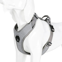 Peitoral Truelove® Running | Para Cachorro