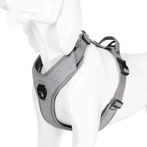 Peitoral Truelove® Running | Para Cachorro