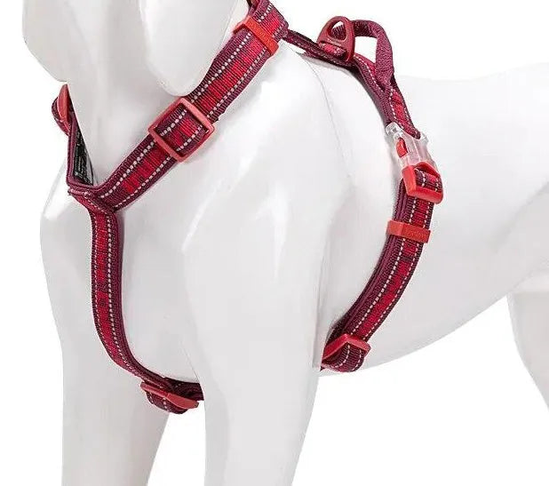 Peitoral Truelove® Collection | Para Cachorro