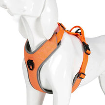 Peitoral Truelove® Running | Para Cachorro