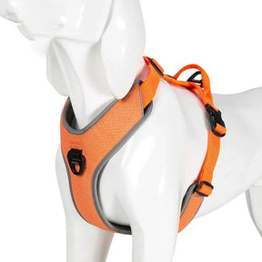 Peitoral Truelove® Running | Para Cachorro