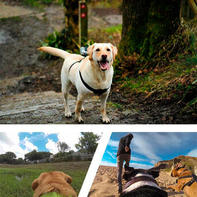 Peitoral ActionCão™ GoPro| Para Cachorro