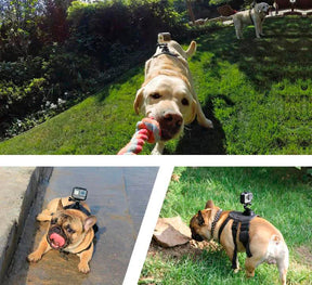 Peitoral ActionCão™ GoPro| Para Cachorro