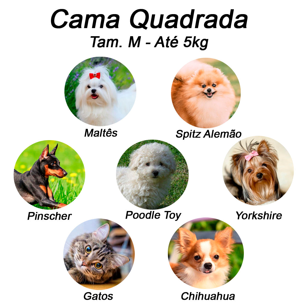 Cama para Cachorro ou Gato Luxo | Luppet Azul Petróleo