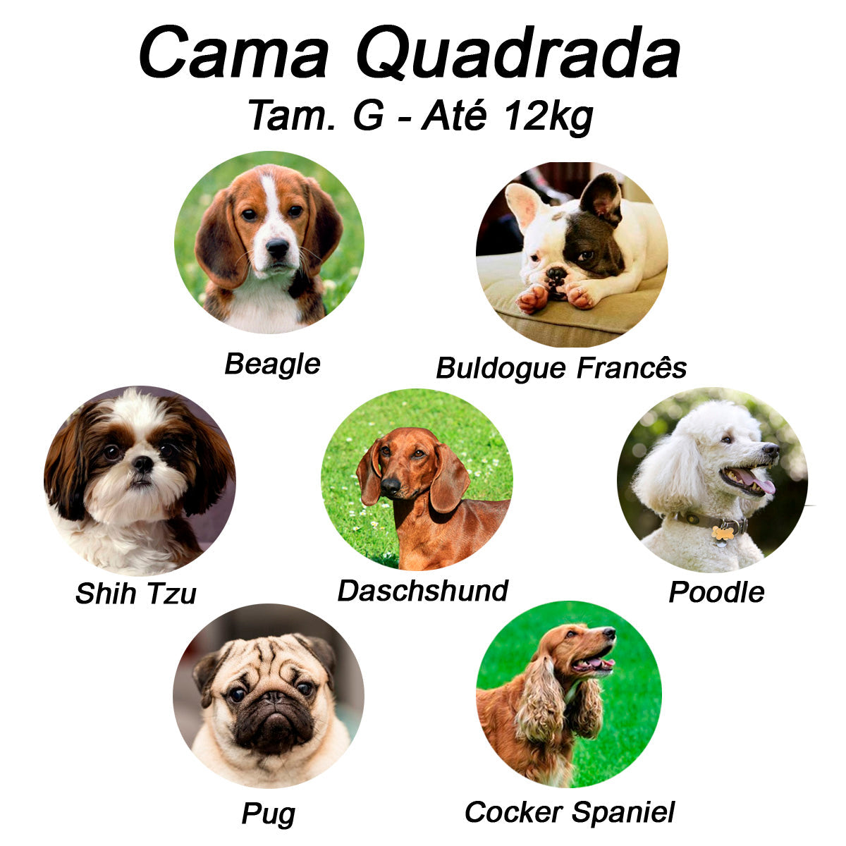 Cama para Cachorro ou Gato Luxo | Luppet Azul Petróleo