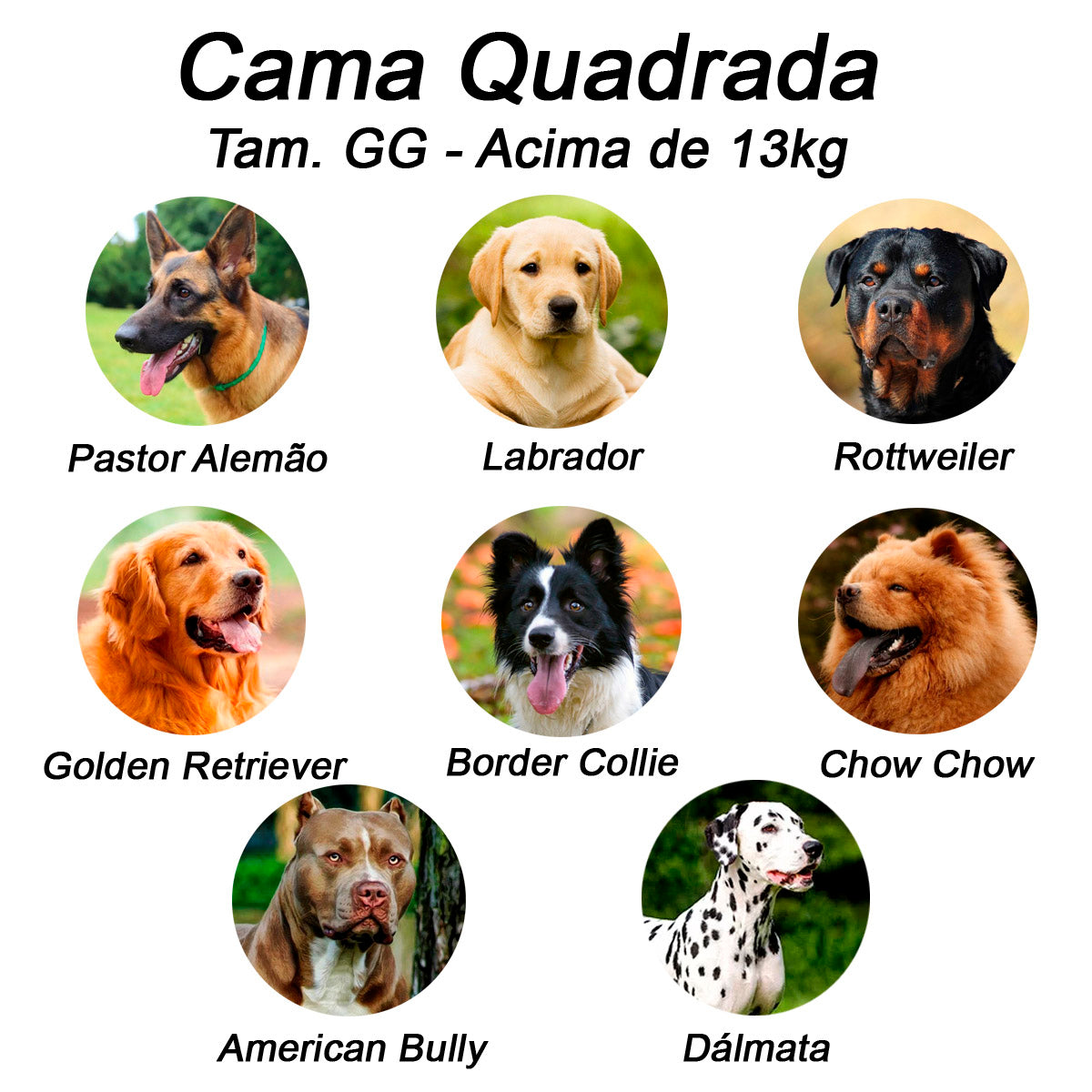 Cama para Cachorro ou Gato Luxo | Luppet Azul Petróleo