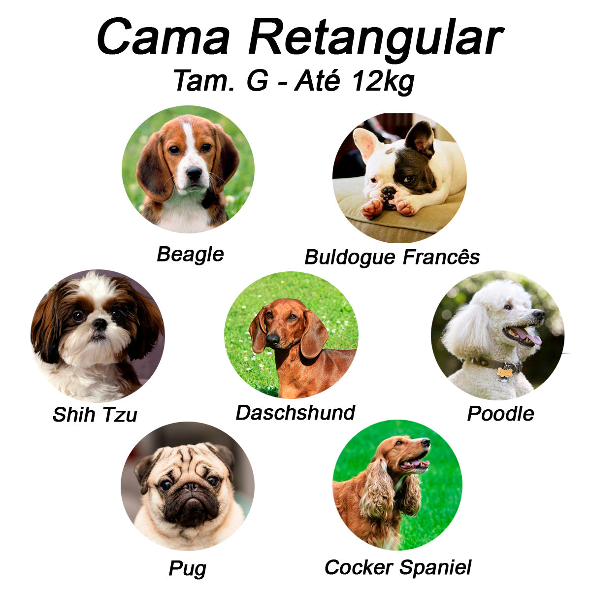 Cama Retangular para Cachorro ou Gato | Luppet Borboleta™