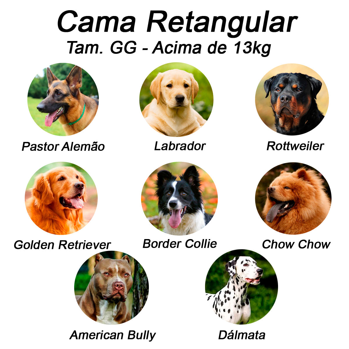 Cama Retangular para Cachorro ou Gato | Luppet Borboleta™