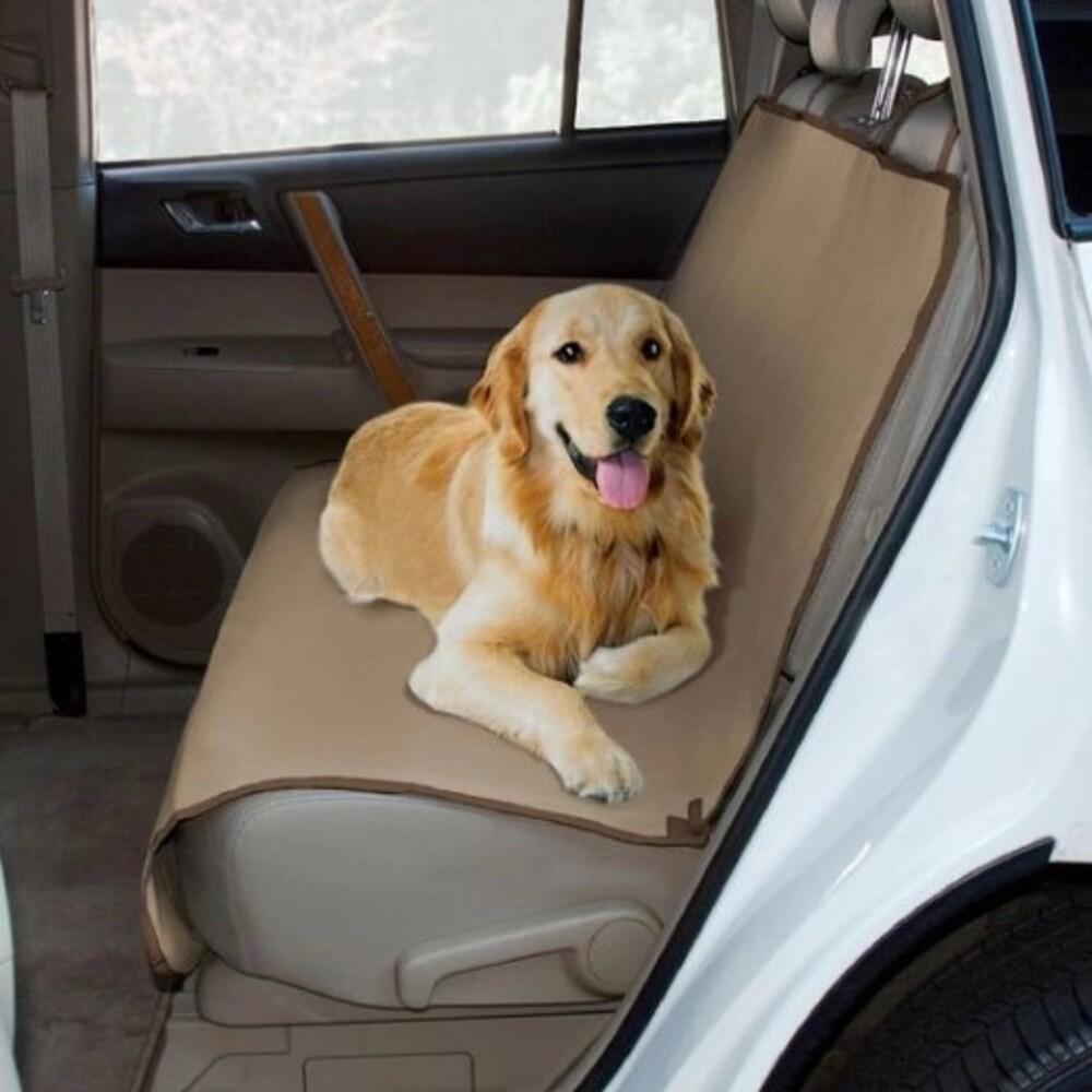 Capa de Carro para Cachorro e Gato | Zoom Pet Loungee™