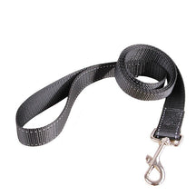 Trela para cães com controle de extensão - Tudo Tem