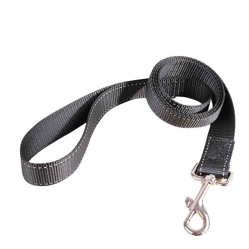 Trela para cães com controle de extensão - Tudo Tem